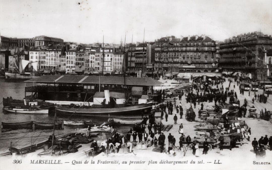 Les activités du port de Marseille