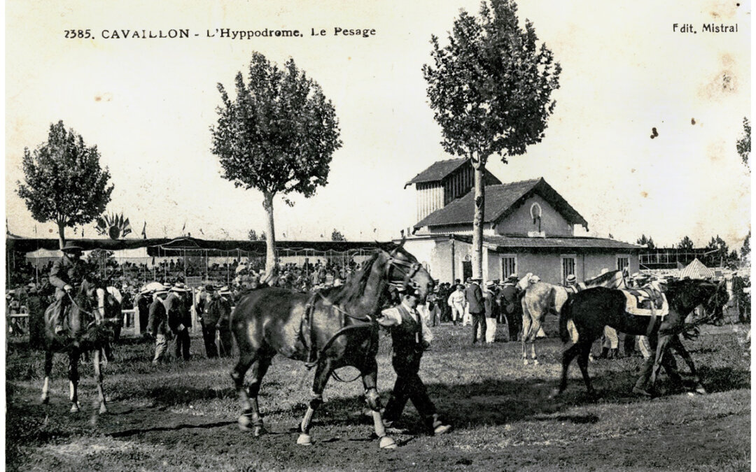 Pesage de l’hippodrome de Cavaillon