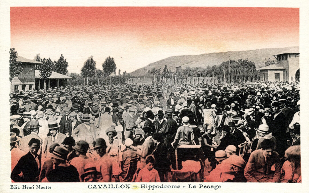Pesage. Hippodrome de Cavaillon