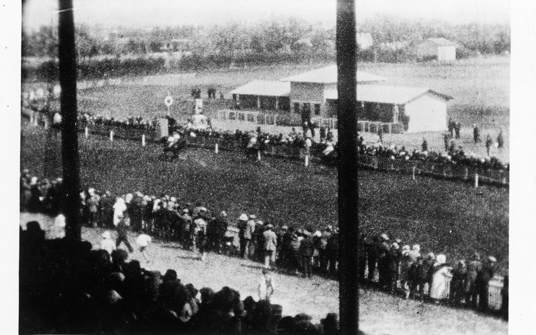 Une course hippique à l’hippodrome de Cavaillon