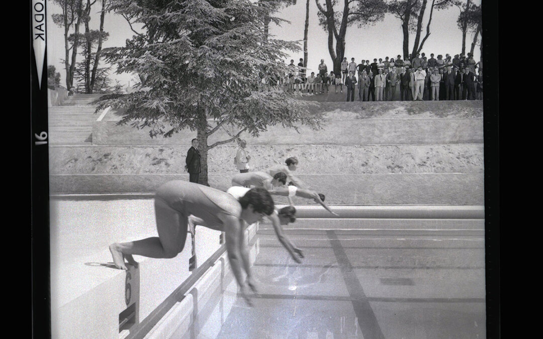 Démonstration de natation lors de l’inauguration de la piscine des Cèdres à Orange