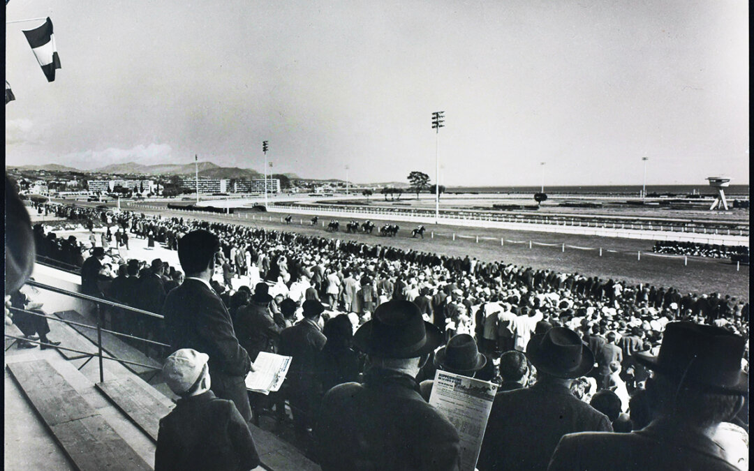 Champ de courses de l’hippodrome de Cagnes-sur-Mer depuis la tribune