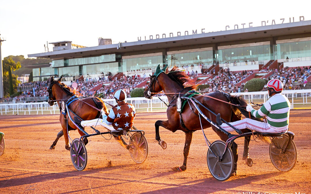 Course de trot. Hippodrome de la Côte d’Azur à Cagnes-sur-Mer
